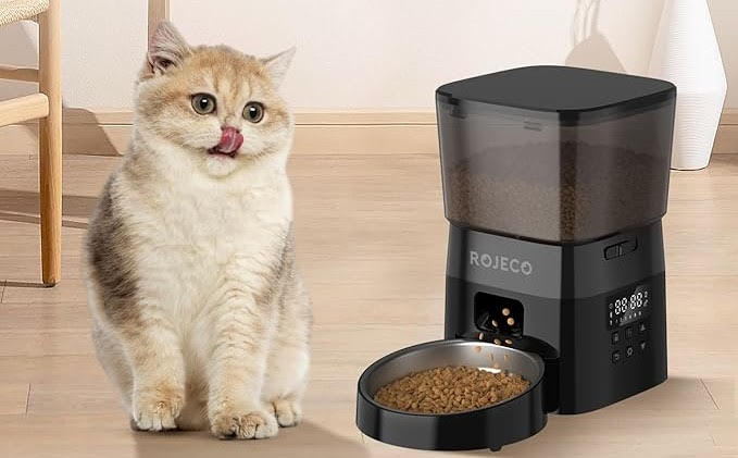 pet feeder